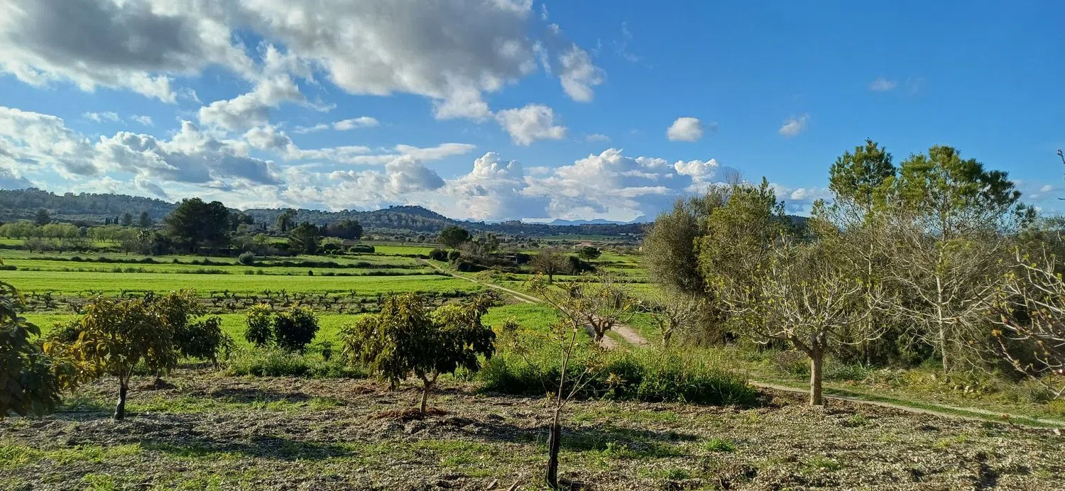 Casa independiente en calle Son Oms, 11 - Foto 20