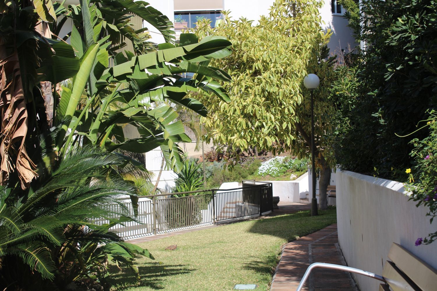 Piso en Paseo de Miramar, 38, Limonar - Foto 23