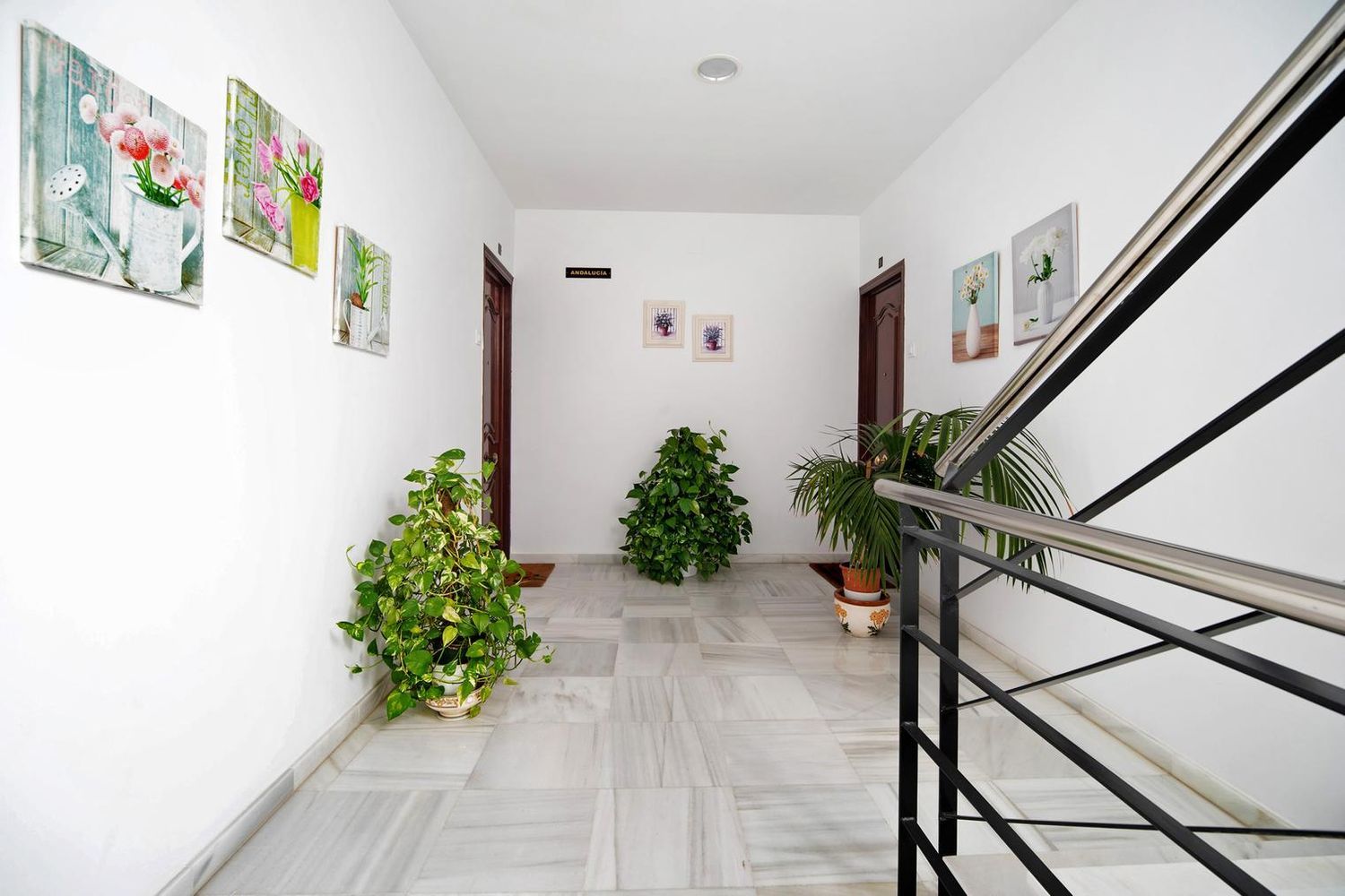Piso en Avenida Andalucía, 60, Playa Victoria - Paseo Marítimo, Playa Victoria - Paseo Marítimo - Foto 23