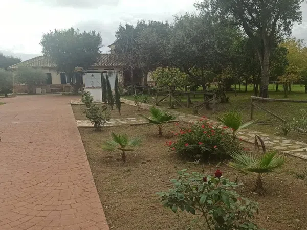 Casa o chalet independiente en Urbanización Río Caya, 67, Casco Antiguo - Centro, Casco Antiguo - Centro - Foto 2