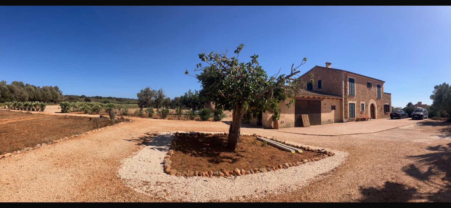 Finca rústica en Diseminado Son Xorc, 426 - Foto 40