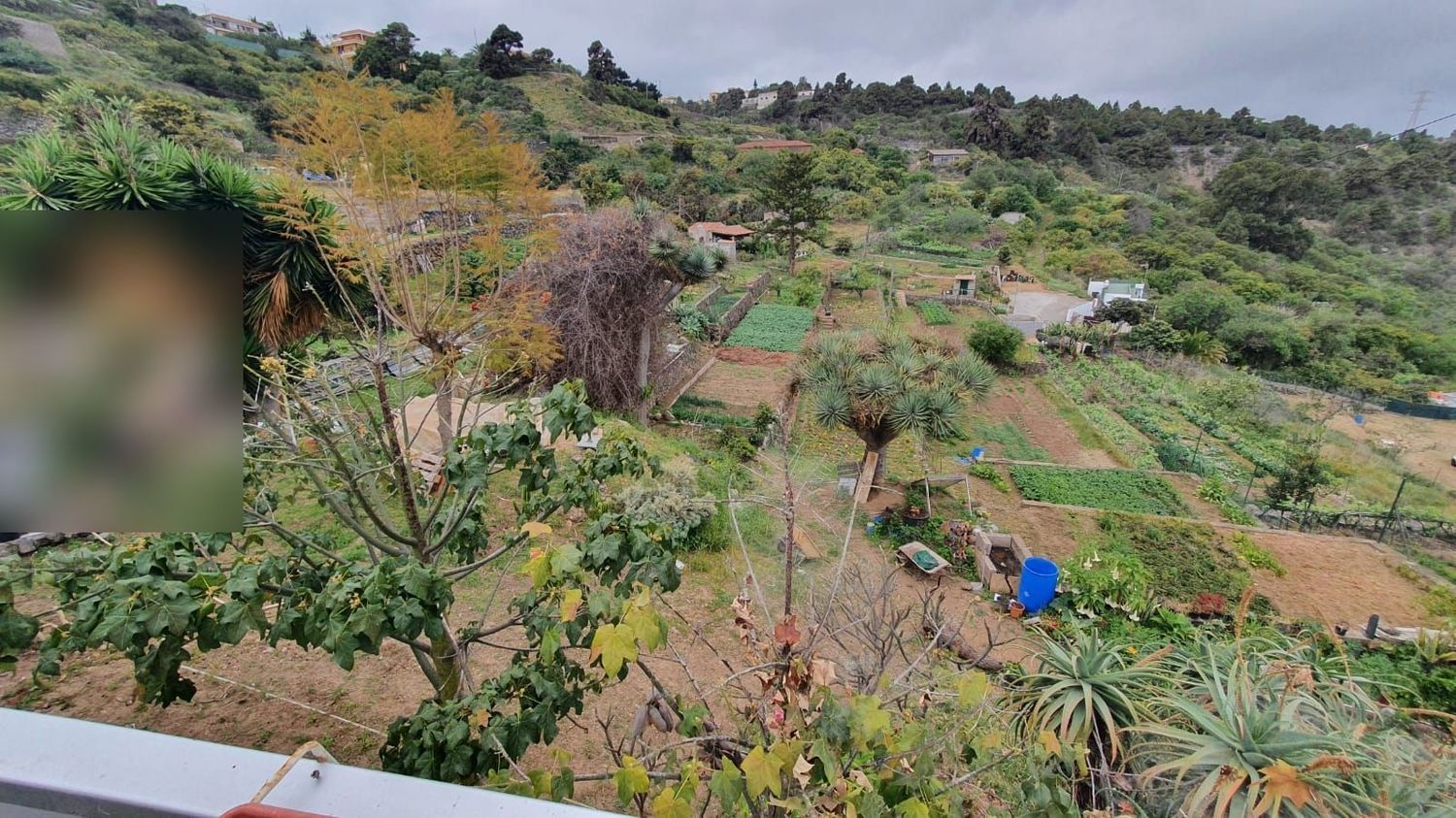 Finca rústica en Buen Paso s/n, Buen Paso-La Mancha, Buen Paso-La Mancha - Foto 12
