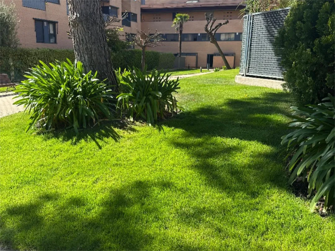 Piso en  Calle Ortega y Gasset 1 - Foto 22