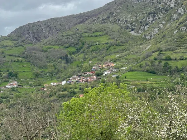 Casa de pueblo en Serandi s/n - Foto 17