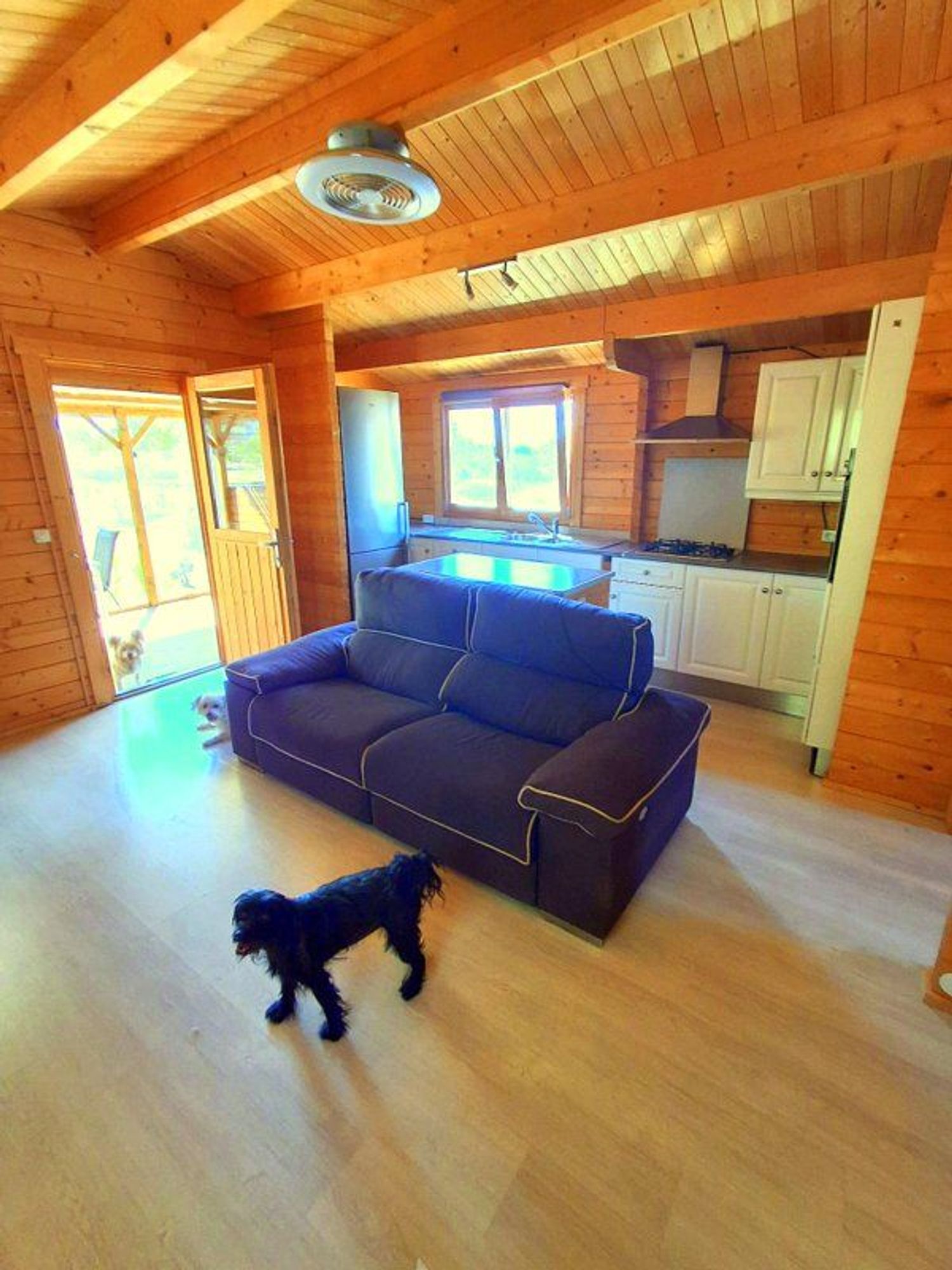 Casa o chalet independiente en Mas de Baralluga, 8 - Foto 32