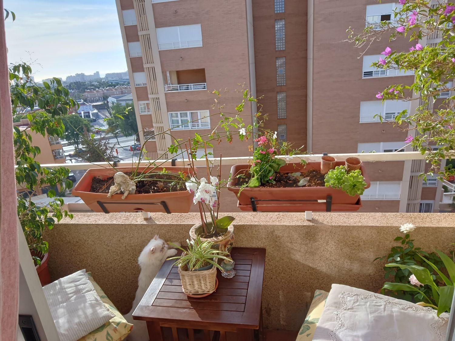 Piso en Calle del Notario Salvador Montesinos Bonet, 17, Centro, Centro - Foto 17