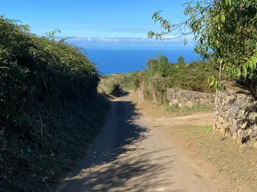 Finca rústica en  Camino el Cribo 8 - Foto 7