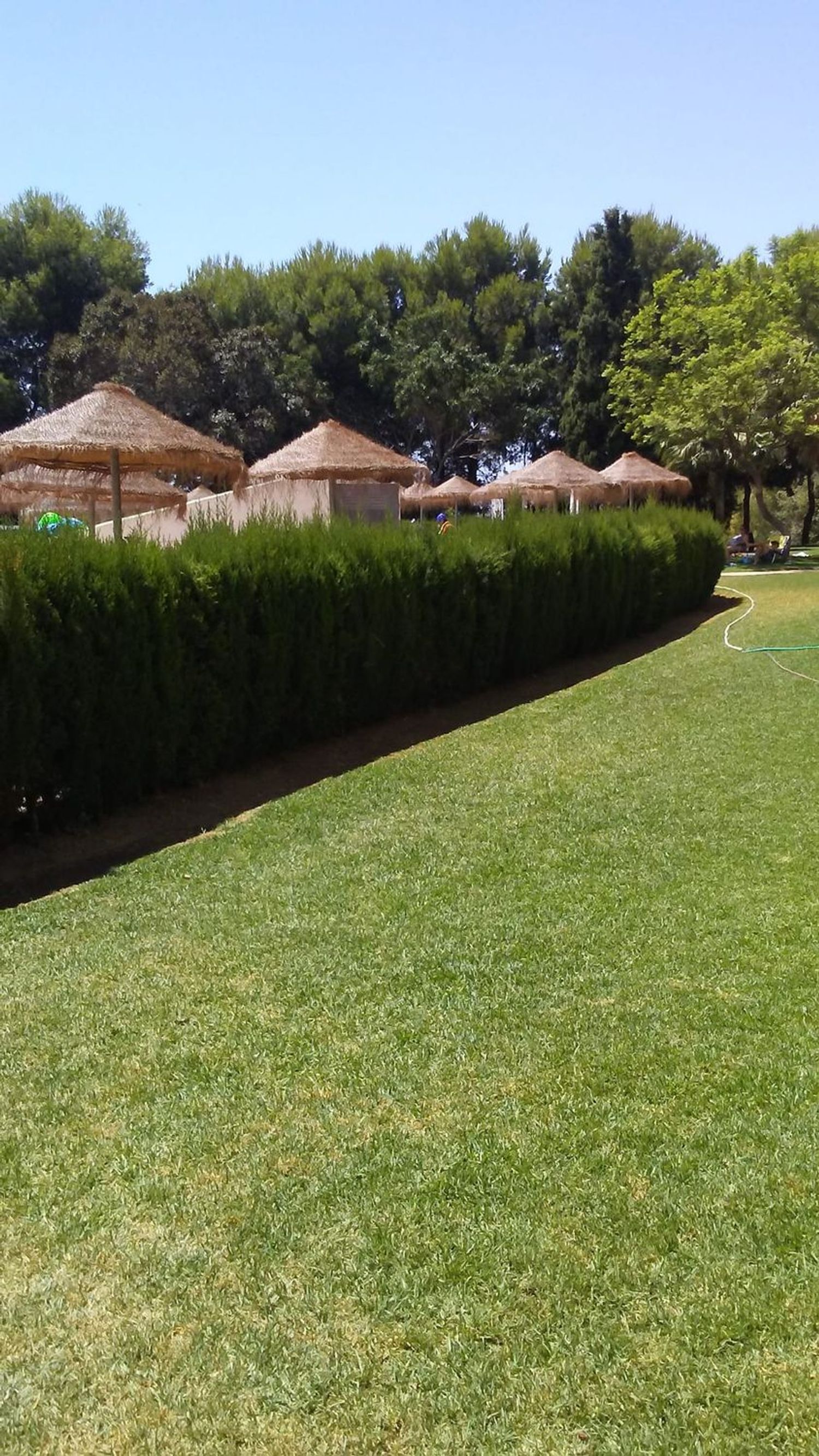 Estudio en Gamonal, 4, Parque de la Paloma, Parque de la Paloma - Foto 6