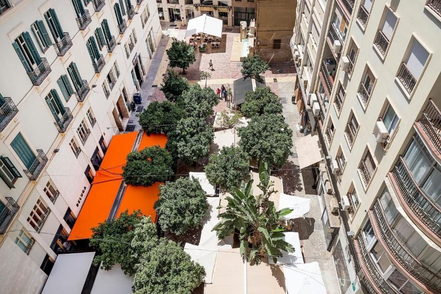 Piso en 1 Plaza de las Flores, 7, Centro Histórico - Foto 6