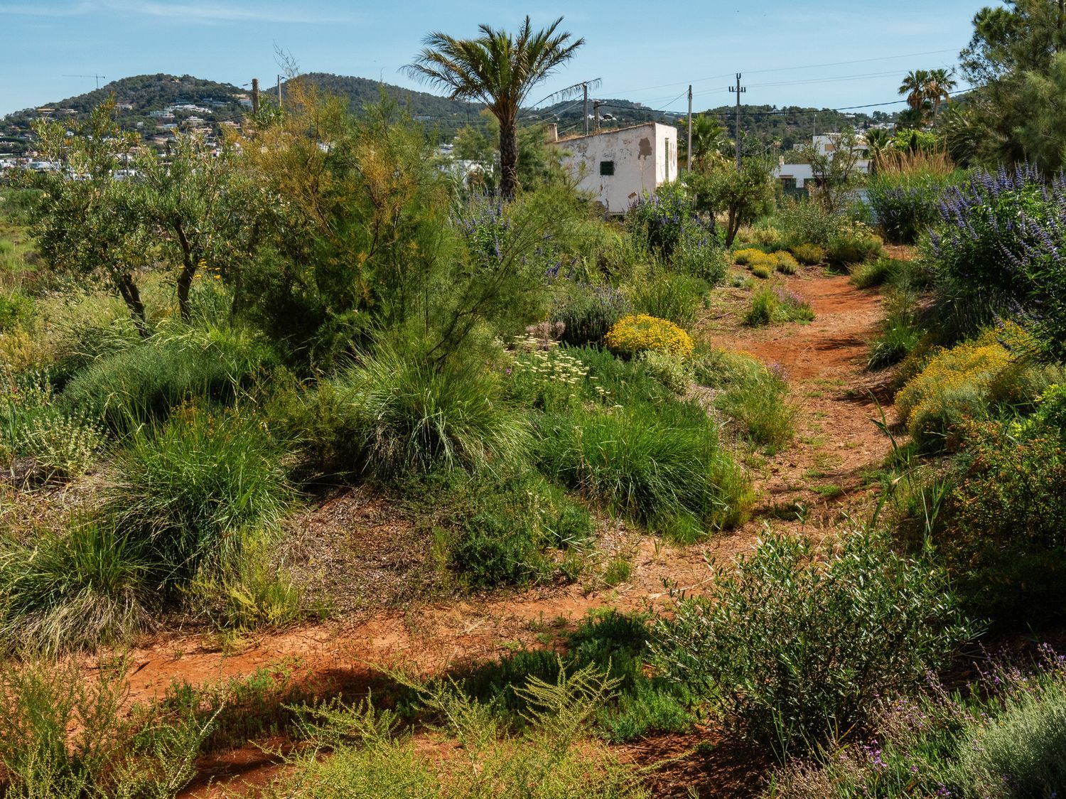 Casa rural en Camino ses Feixes, 46, Marina Botafoc - Talamanca, Marina Botafoc - Talamanca - Foto 38