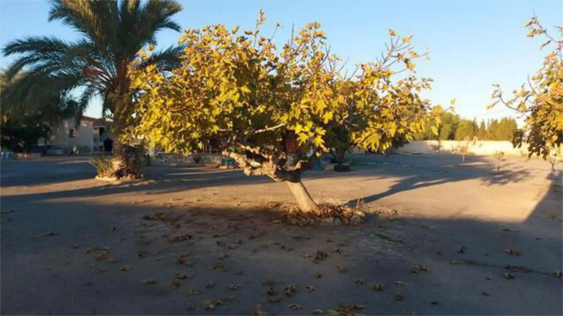 Casa adosada en VENTA DE CHALET URBANOVA - Foto 8