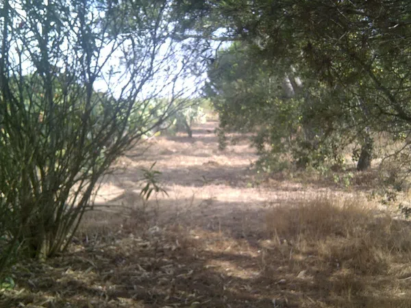 Casa independiente en camino de Melilla s/n - Foto 8