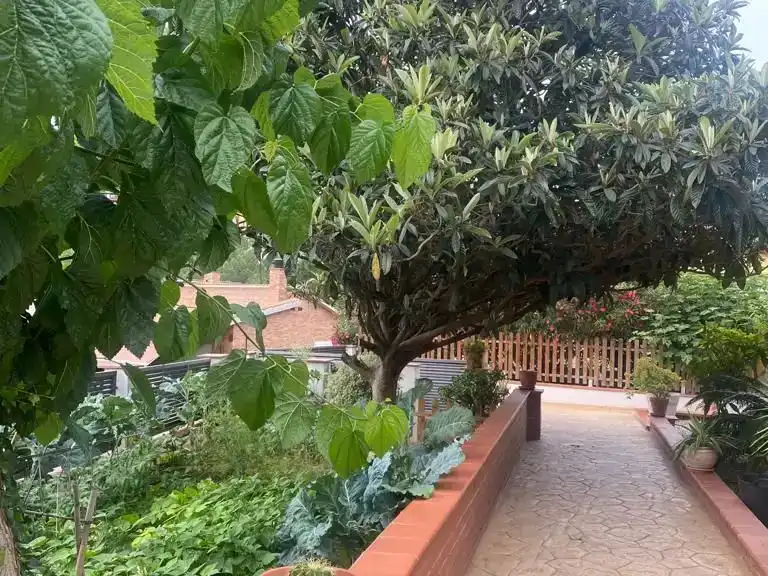 Piso en  Carrer Nard 15 - Foto 20