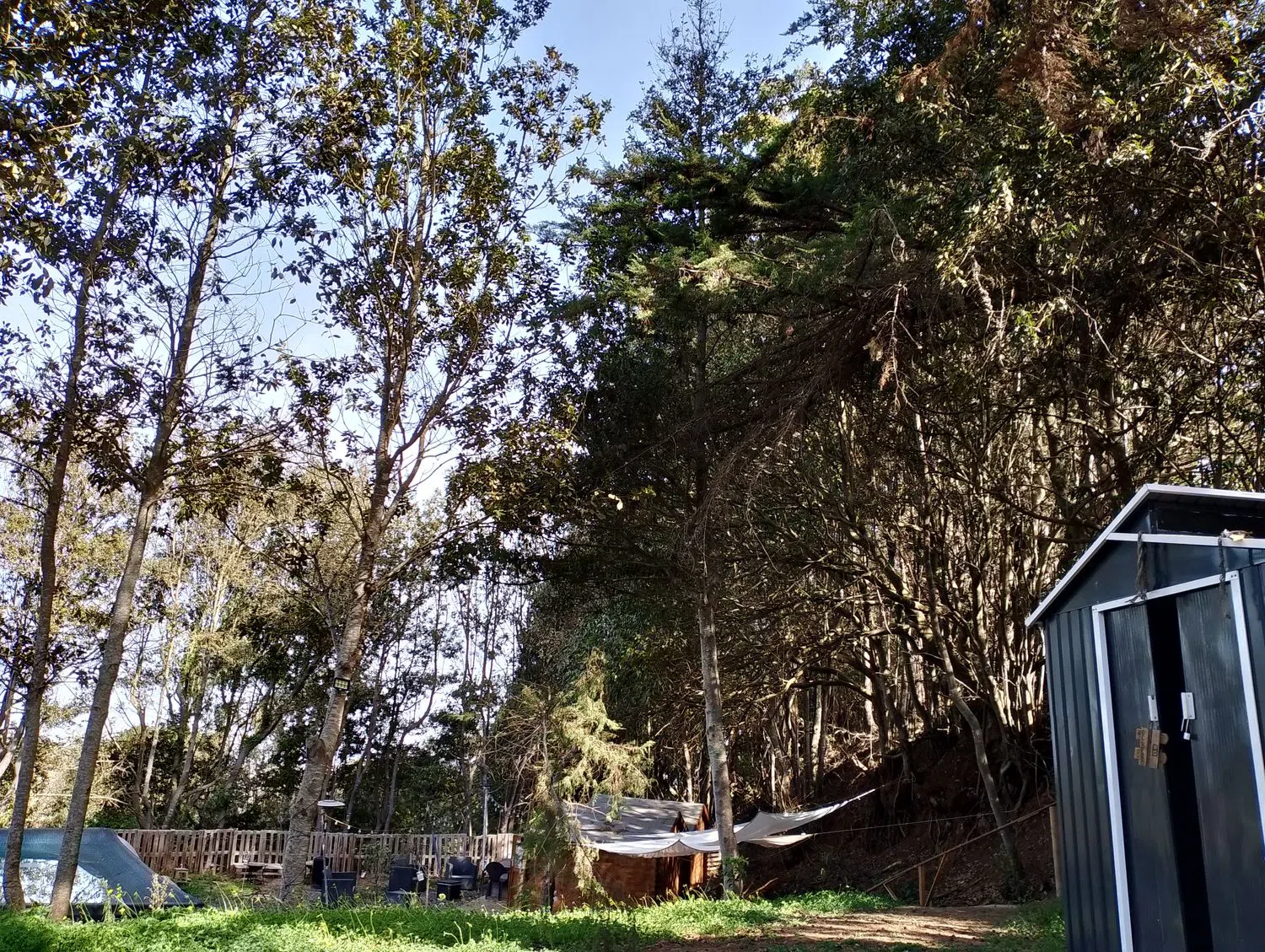 Finca rústica en camino el Laurel, 5555 - Foto 15