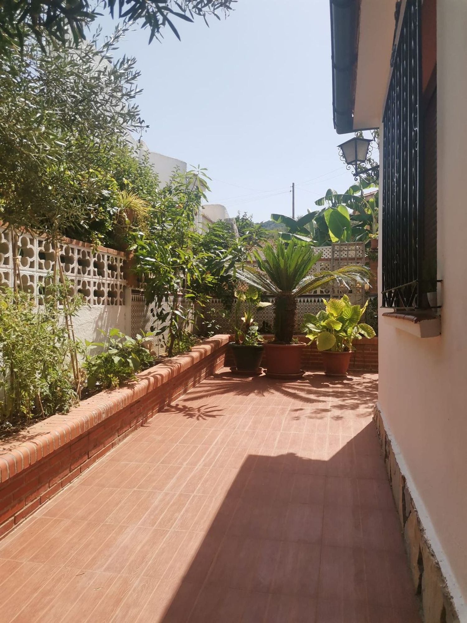 Casa o chalet independiente en Calle Mayoral, 19, Manantiales - Lagar - Cortijo, Manantiales - Lagar - Cortijo - Foto 38