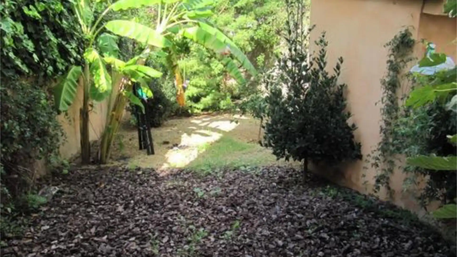 Loft en Cines Chaplin - Foto 8