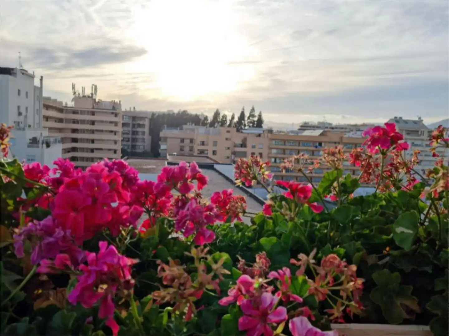 Ático en  Calle Notario Luis Oliver 11 - Foto 14