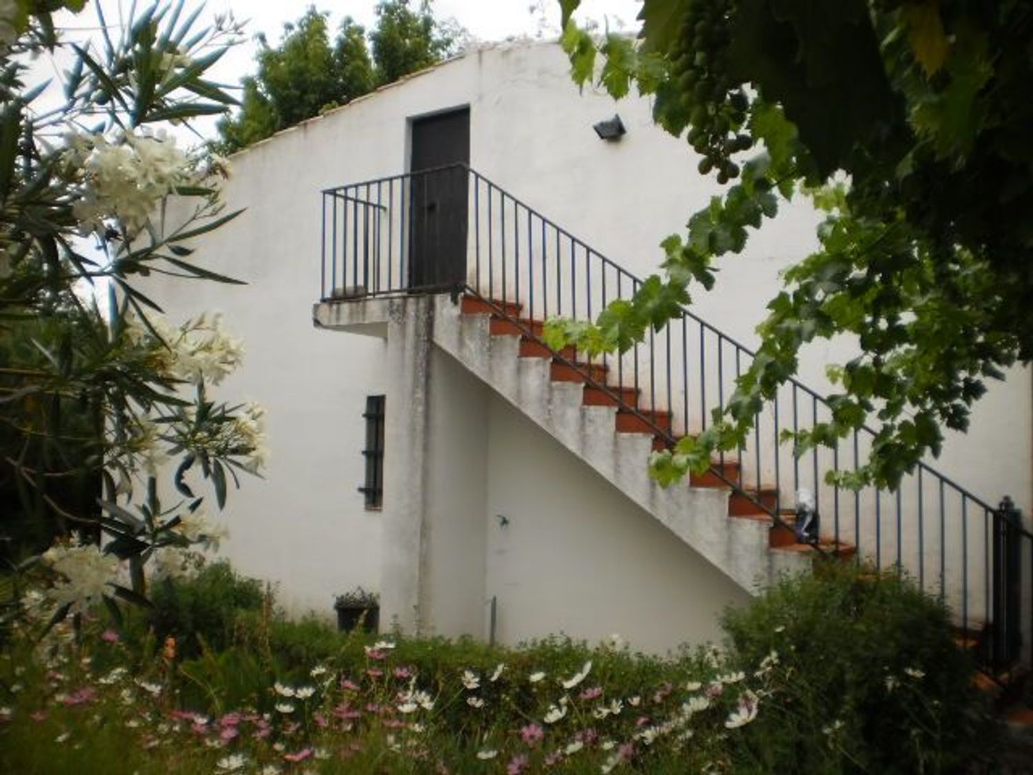 Cortijo en Ba-012 s/n - Foto 8