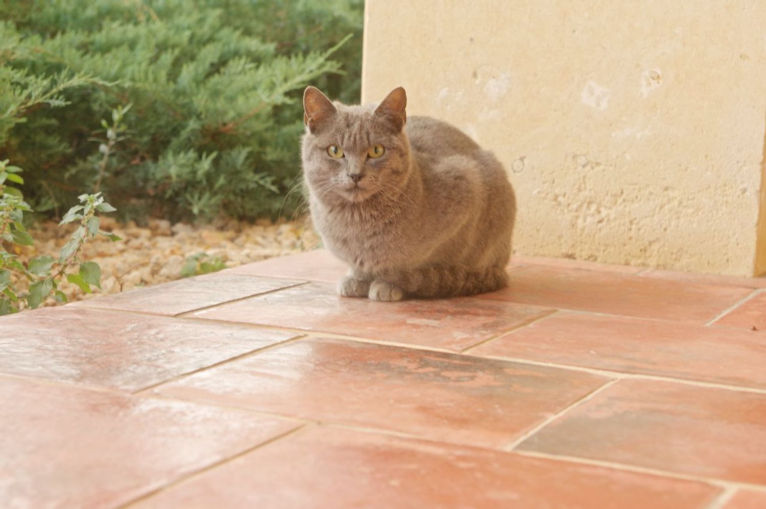 Casa independiente en calle Benimeli, 1 - Foto 33