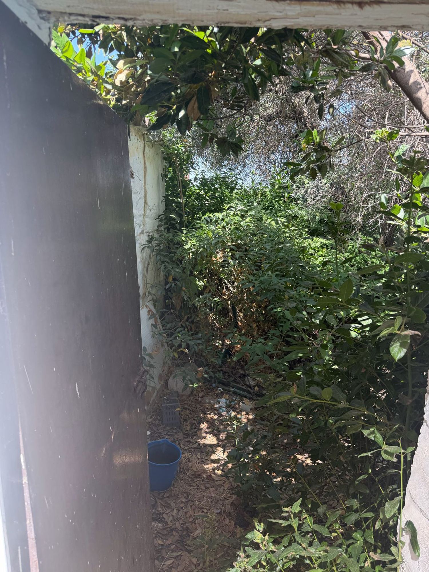 Casa de pueblo en Calle Duque de Rivas, 8 - Foto 12