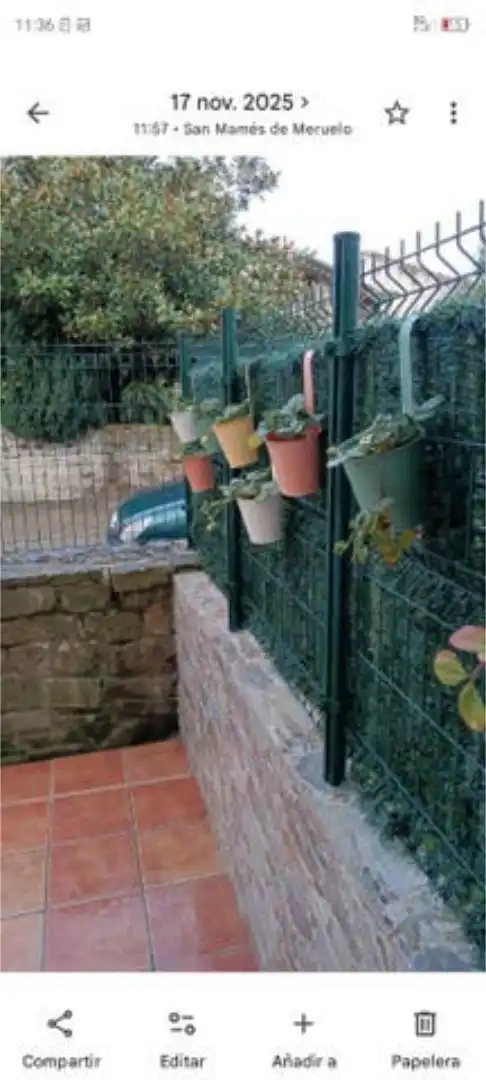 Piso en Ermita - Foto 3