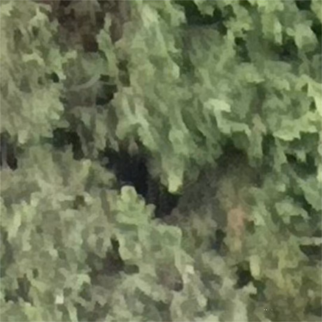 Apartamento en Los Ramos - Foto 4