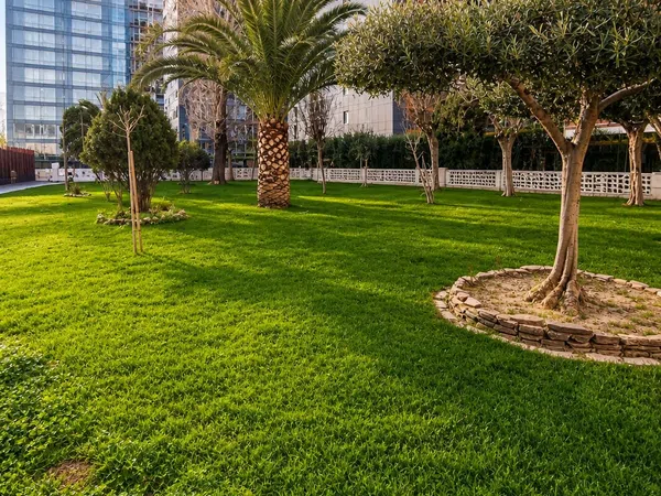 Piso en Avenida del Alcalde José Aranda, 13, Parque Mayor, Alcorcón - Foto 14