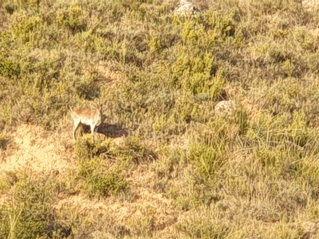 Chalet en  Calle de Serrano 200 - Foto 15