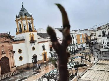 Piso en  Plaza del Socorro 9 - Foto 1