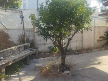 Casa adosada en avenida los mangos  Torrox costa - Foto 3