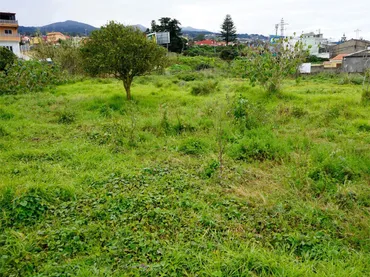 Terreno Industrial en  Calle la Trilladora 2 - Foto 10