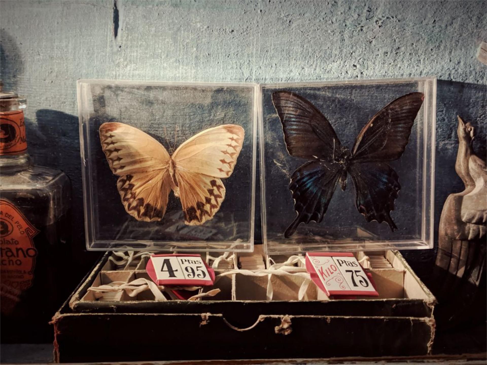 Piso en  Calle Verónica de la Magdalena 27 - Foto 27