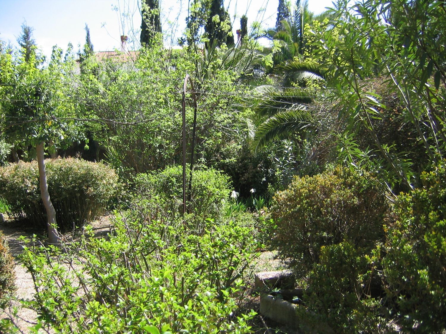 Casa de pueblo en Calle Cerrico de las Moyas, 34 - Foto 35