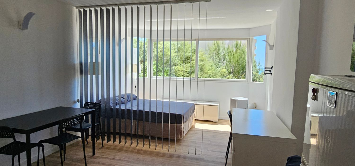 Estudio en Calle de Miquel Rosselló i Alemany, 51, Cala Major - Foto 2