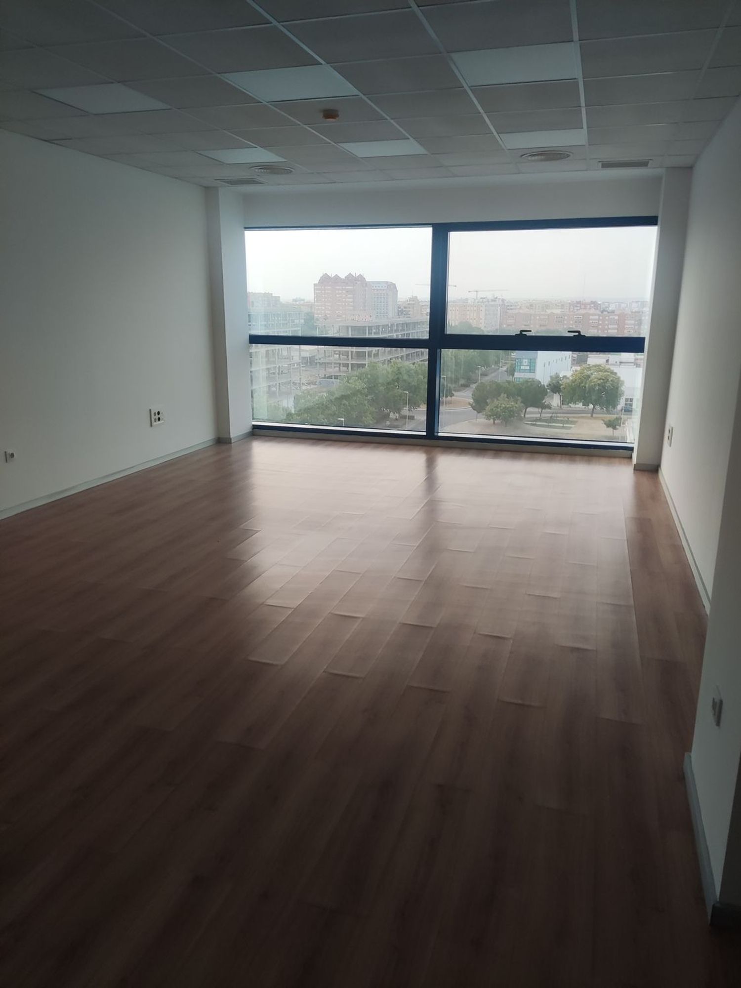 Oficina en Via Apia, 7, Palmete-Padre Pío-Hacienda San Antonio - Foto 14