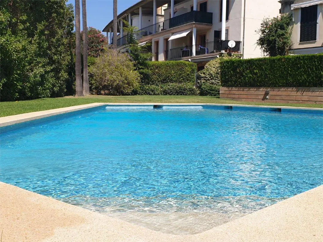 Planta baja en  Carrer del Mussol 21 - Foto 6