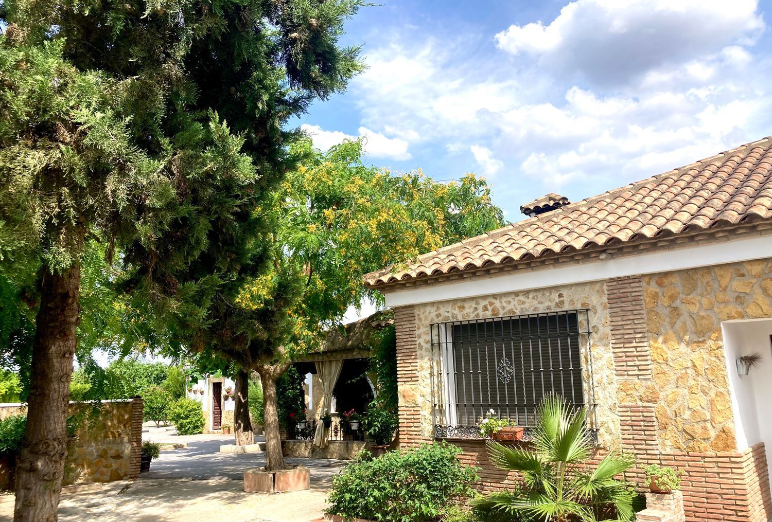 Casa o chalet independiente en Bda. de San José (Huertos Familiares), 175 - Foto 33