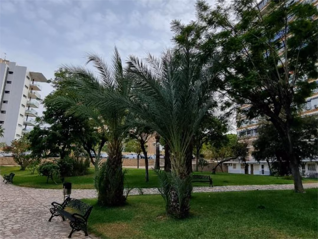 Piso en  Avenida Benidorm 18 - Foto 73