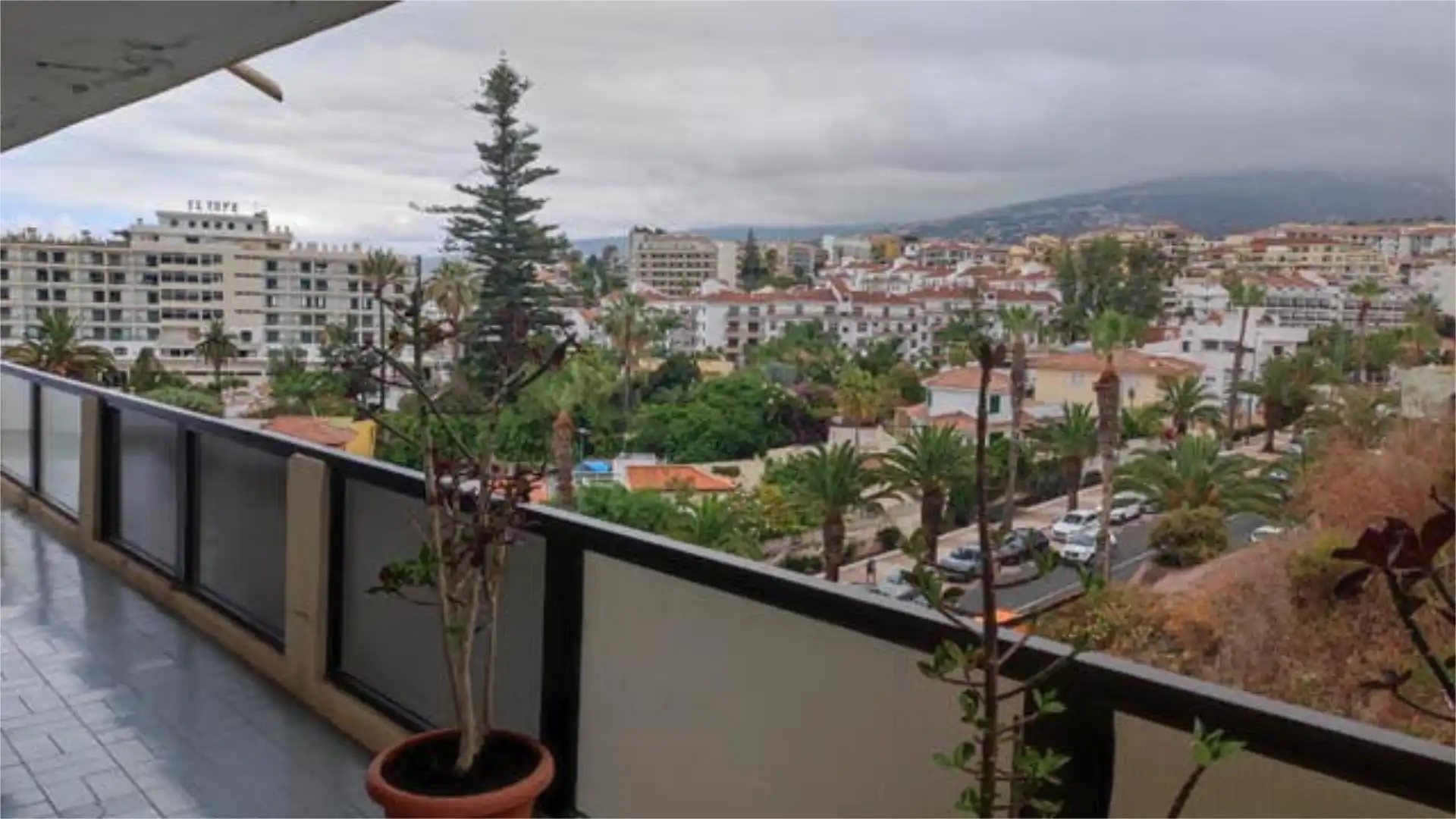 Apartamento en Botánico - Foto 3