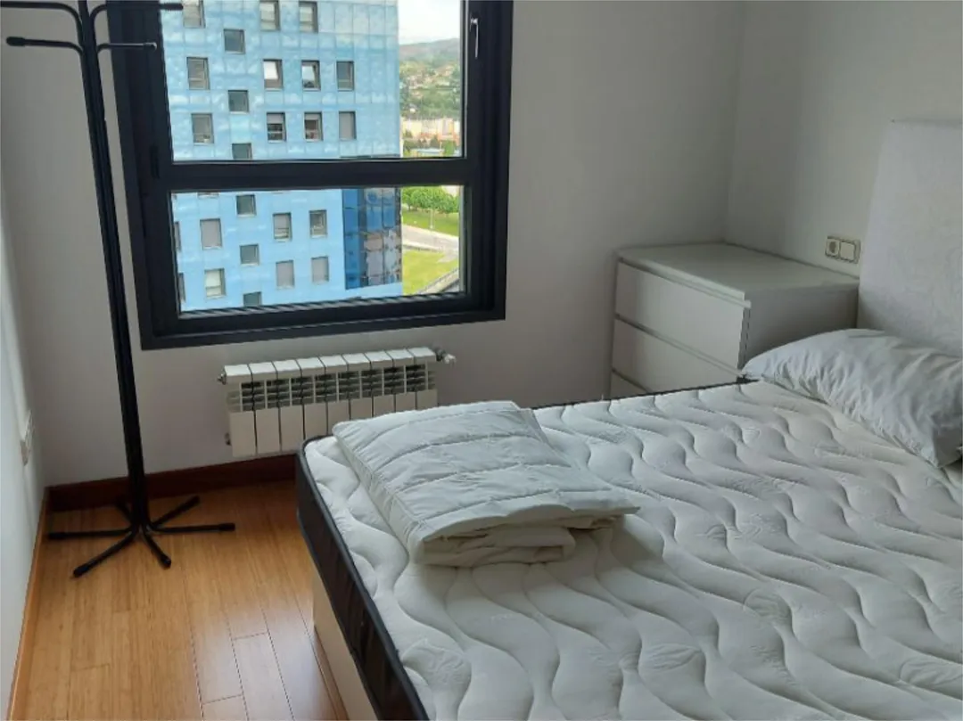 Piso en  Calle Juan Antonio Álvarez Rabanal 3 - Foto 19