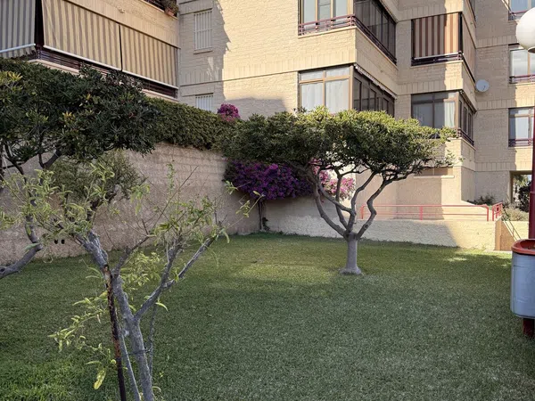 Piso en Calle Ifach, 6, Arenales del Sol, Arenales del Sol - Foto 23