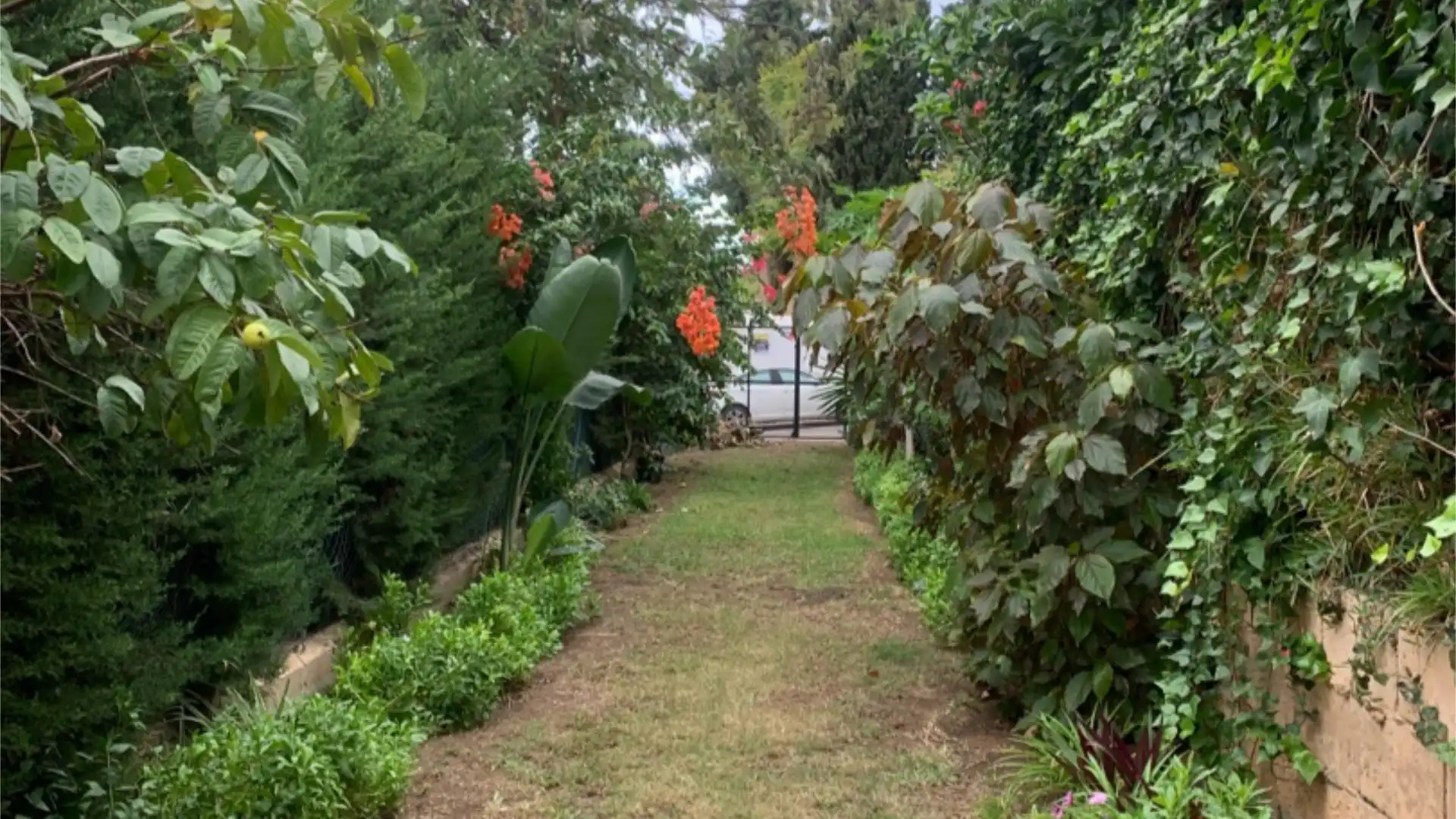 Piso en  Avenida Carlota Alessandri 170 - Foto 21