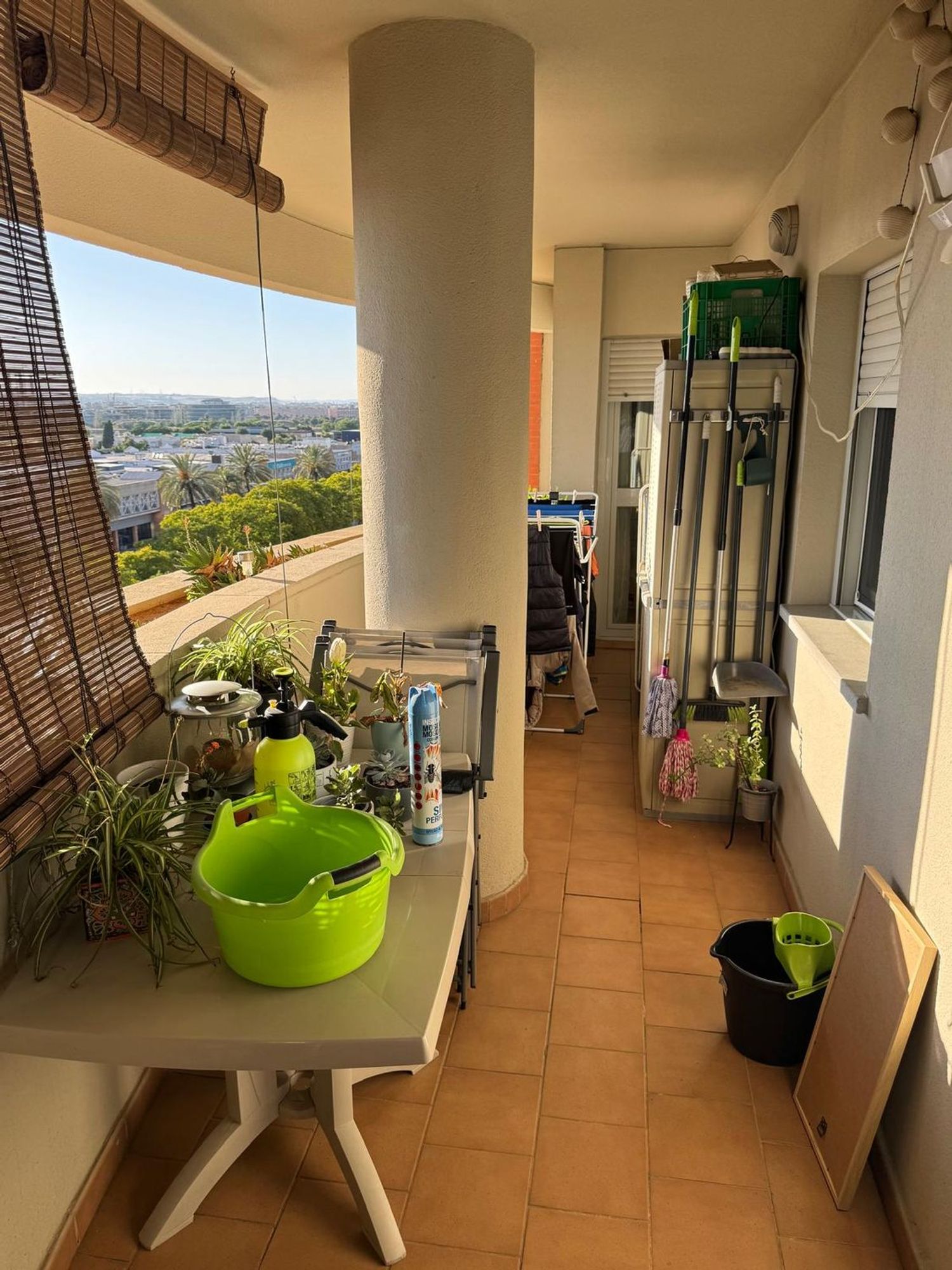Piso en Calle Afrodita, 10, Jardines de Hércules - Foto 22