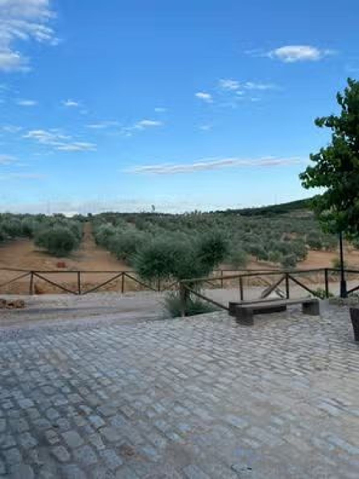 Finca rústica en Carretera Constantina, 4 Fincarusticaenctraconstantinakm - Foto 5