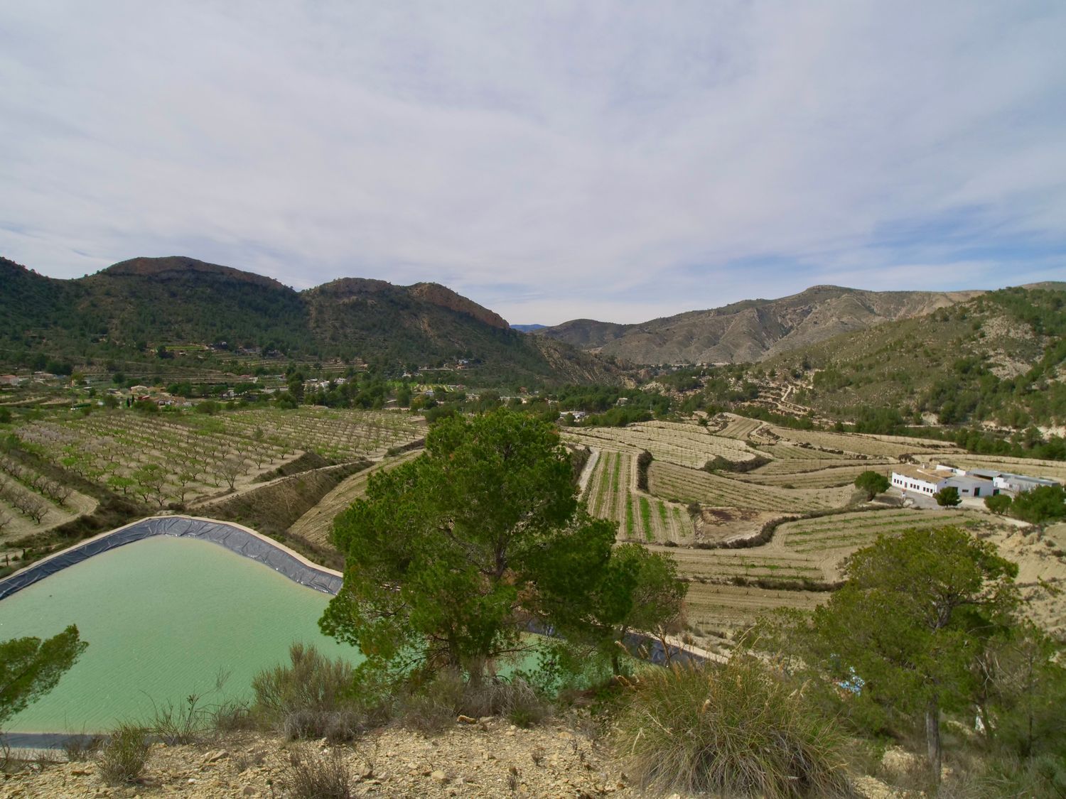 Casa independiente en Partida Almadrava, 1 - Foto 29