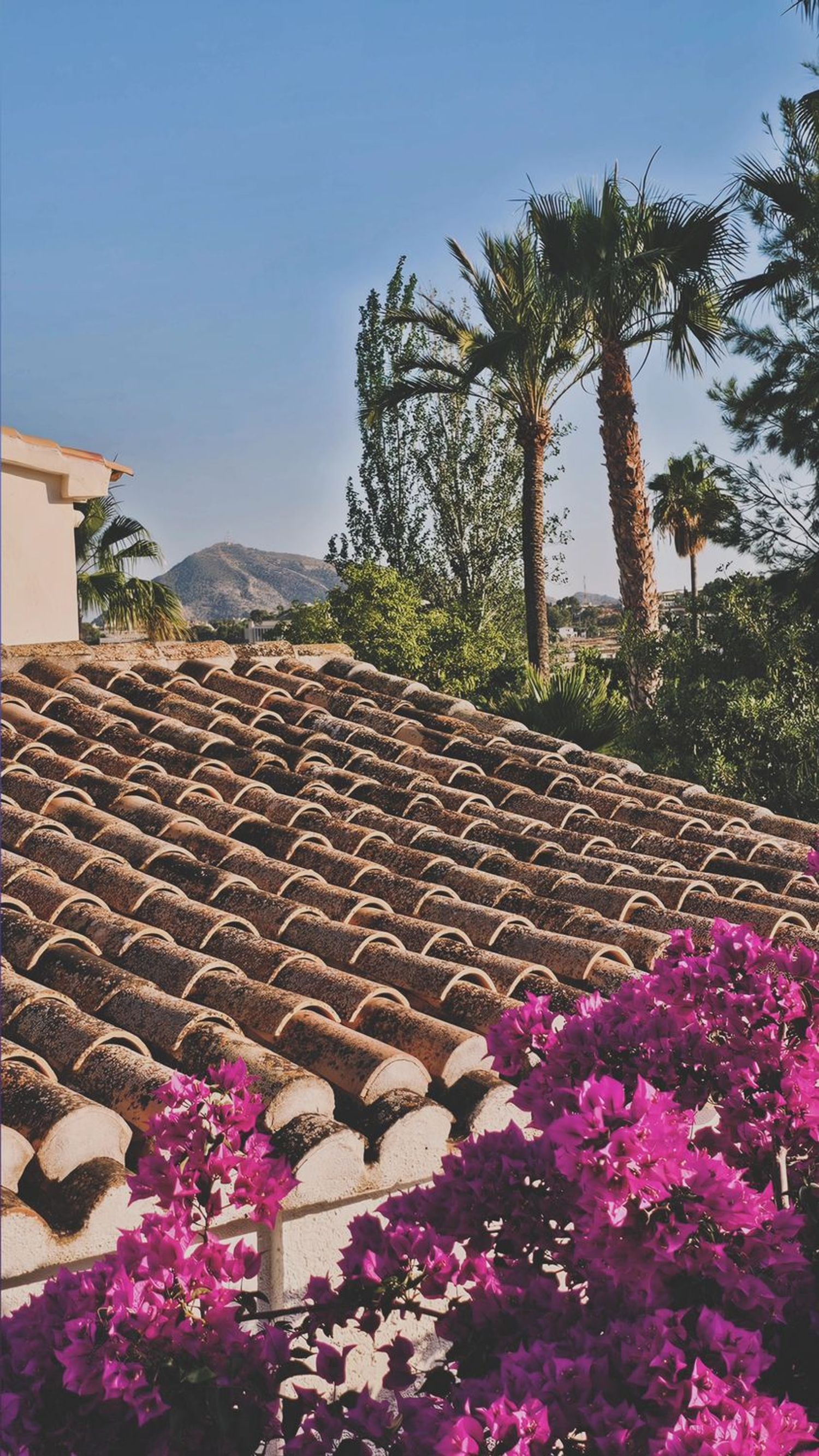 Finca rústica en Altea Pueblo, Altea Pueblo - Foto 13