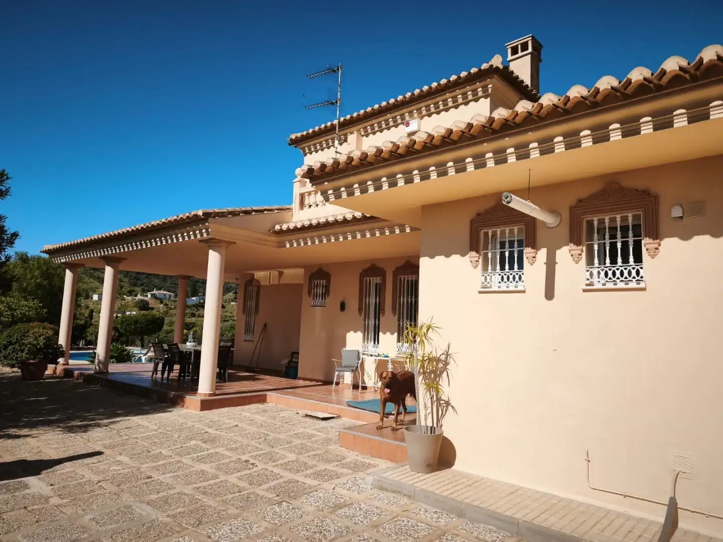 Chalet en  Diseminado Diseminados Finca Casablanca 1 - Foto 38
