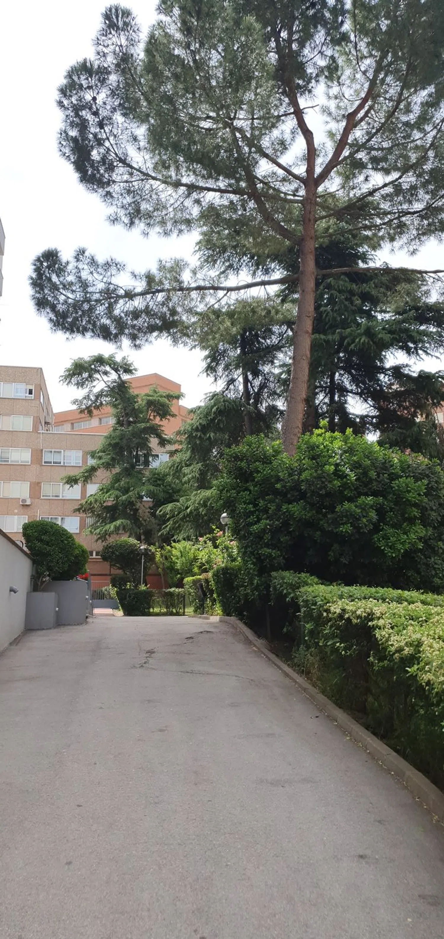 Piso en calle Sigüenza, 18 - Foto 2
