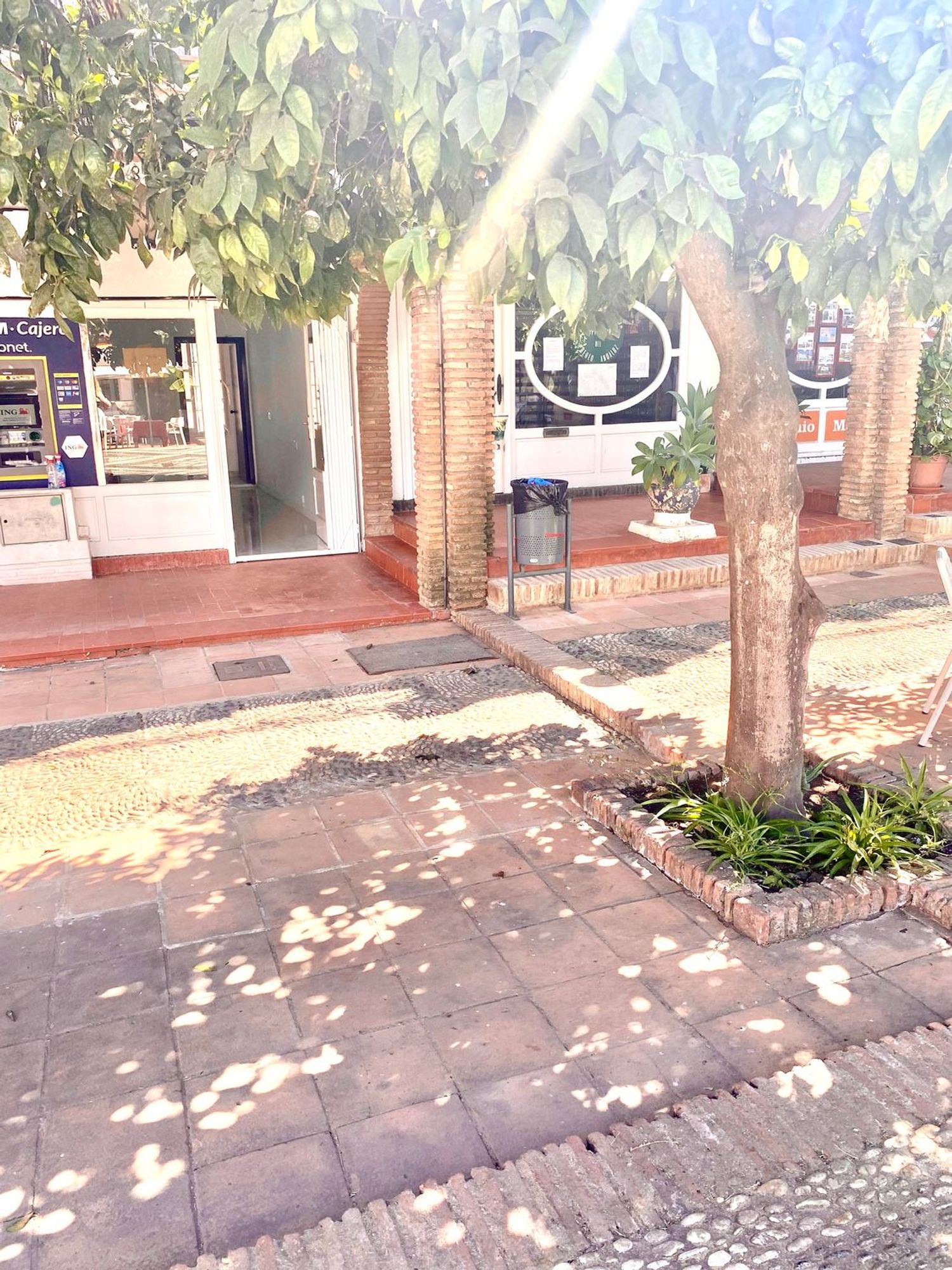 Local en Plaza Santa Monica s/n, Marbesa - Foto 6