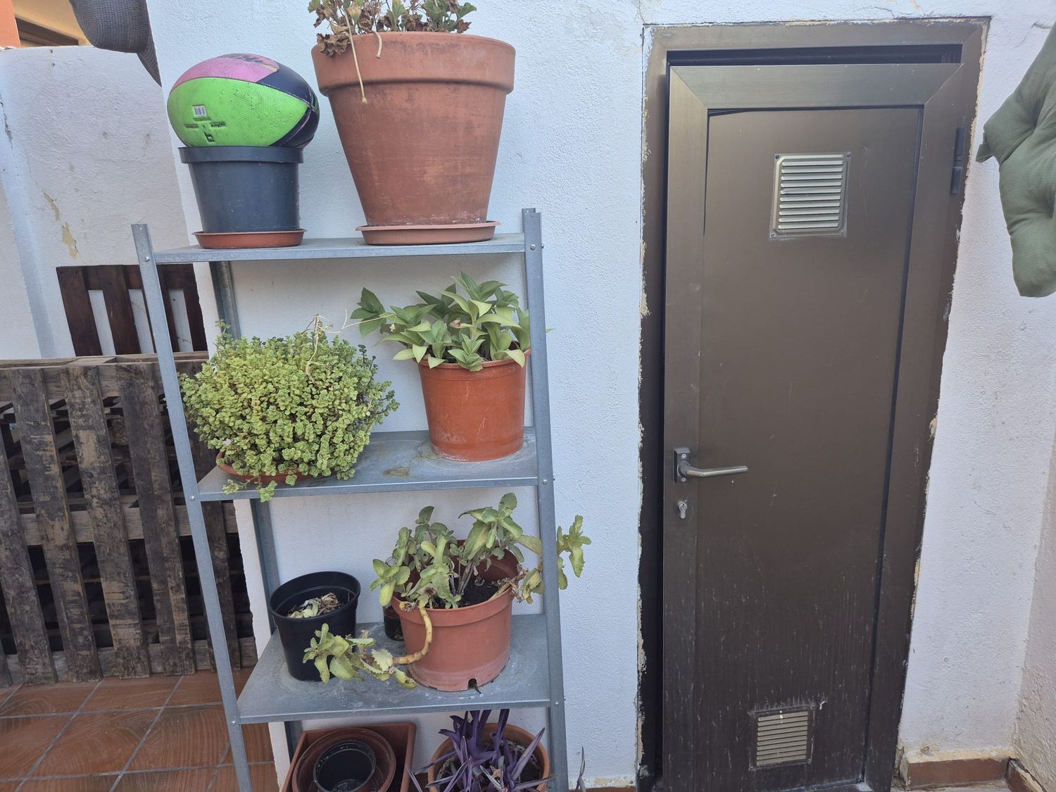 Chalet adosado en Calle Severo Ochoa, 1 - Foto 35